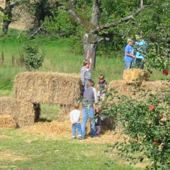 2010_Spielplatzfest_19.JPG